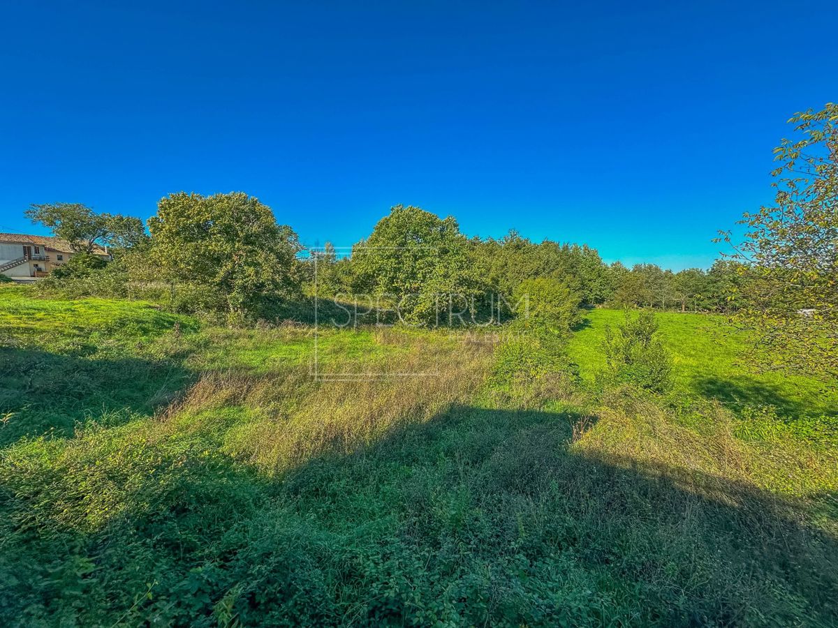 Terreno In vendita - ISTARSKA KAROJBA