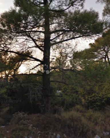 Terrain à vendre 863 m² – Orebić
