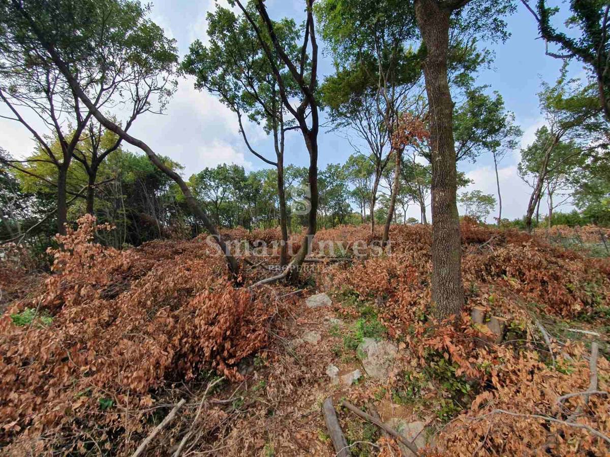 Land For sale - PRIMORSKO-GORANSKA OPATIJA