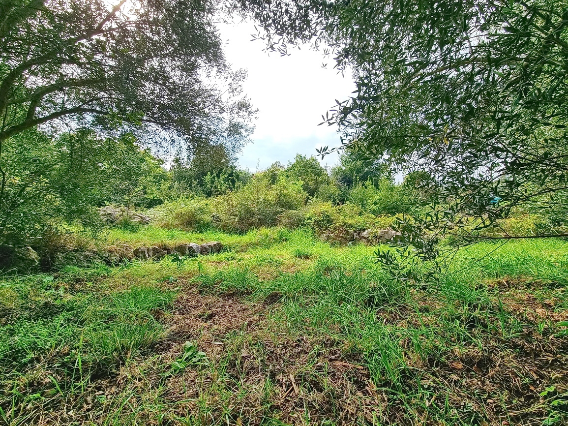 Terrain À vendre - PRIMORSKO-GORANSKA KRK