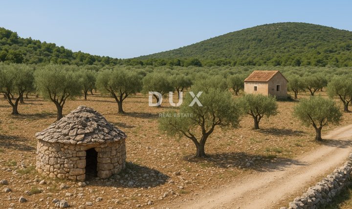 Terrain à vendre 14738 m² – Brač