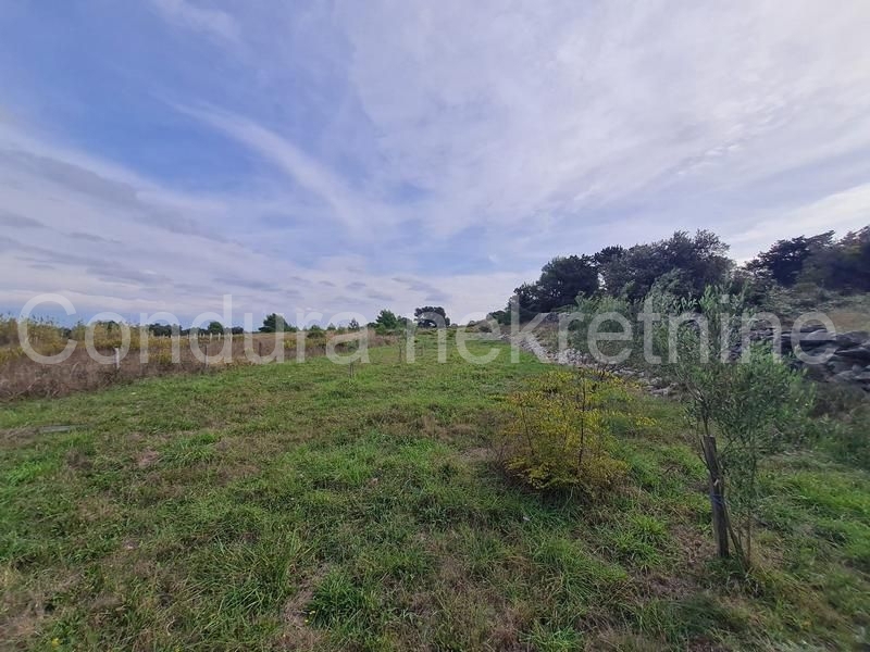 Land For sale - Zadarska Vir - foto 3/4