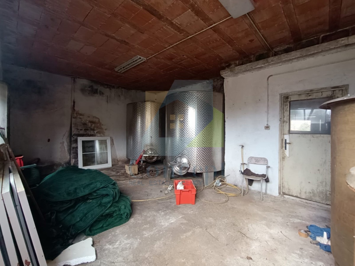 House For sale - ISTARSKA NOVIGRAD
