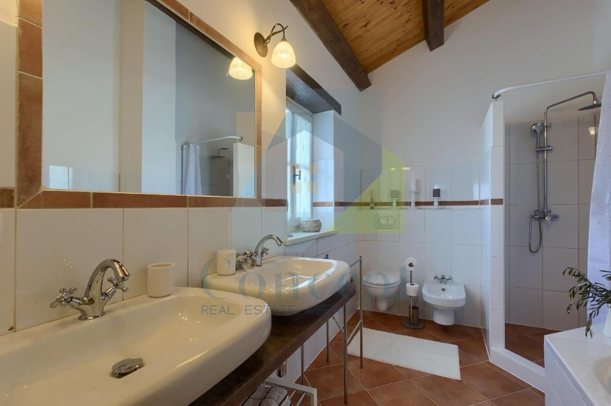Haus Zu verkaufen - ISTARSKA TINJAN