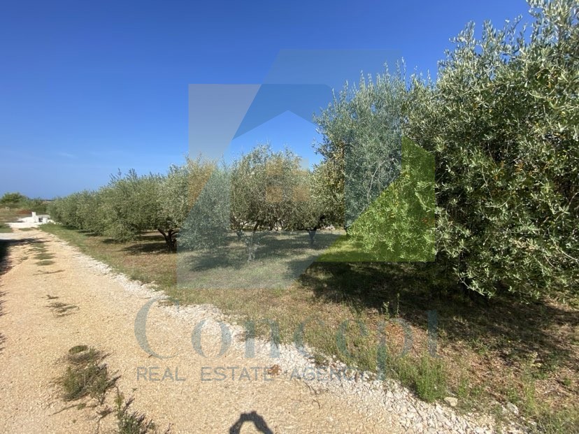 House For sale - ISTARSKA POREČ