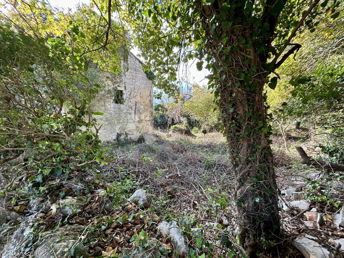 Dom Na sprzedaż - Istarska Svetvinčenat - foto 3/15