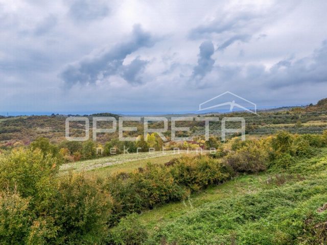 House For sale - Istarska Buje - foto 3/8