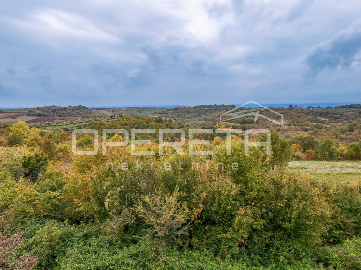 Dom Na predaj - ISTARSKA BUJE