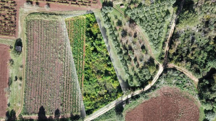 Land For sale - Istarska Poreč - foto 2/3