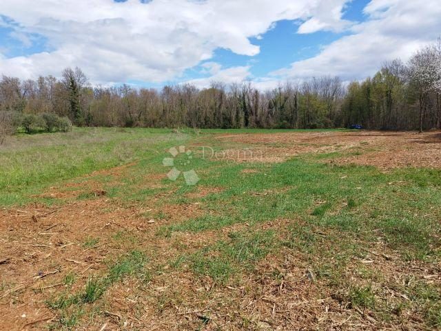 Pozemek na prodej 5503 m² – Rakovica