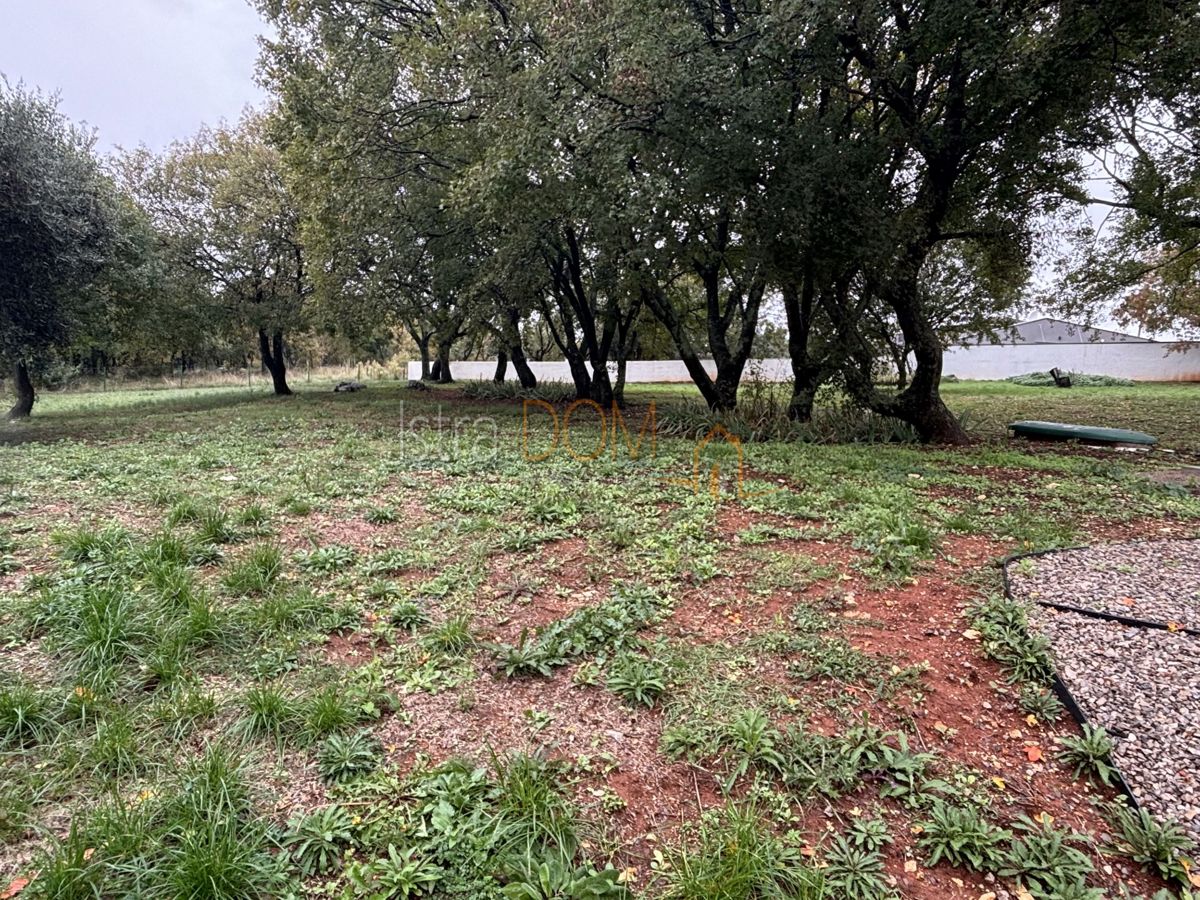 House For sale - ISTARSKA BARBAN