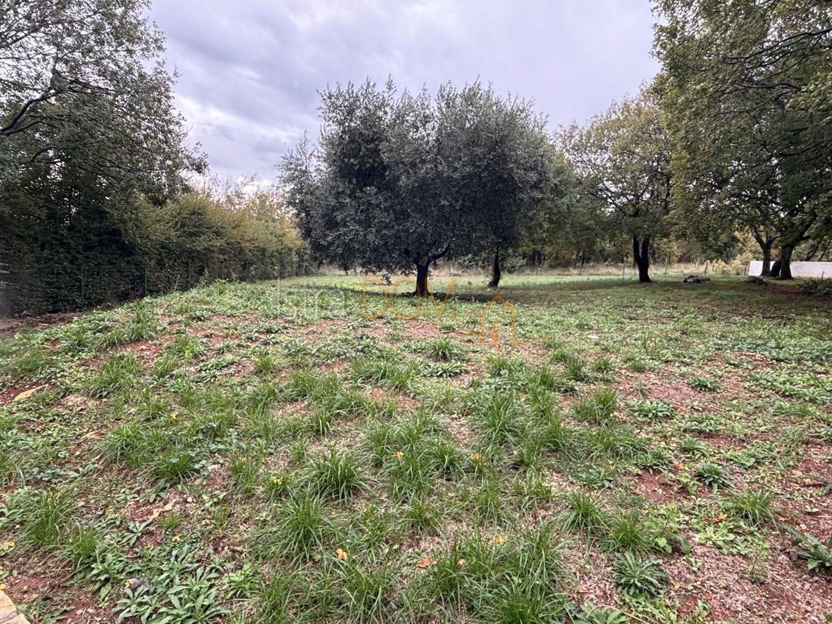 House For sale - ISTARSKA BARBAN