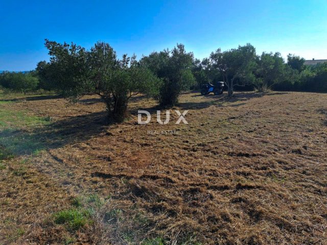 Land For sale - Zadarska Pašman - foto 4/4