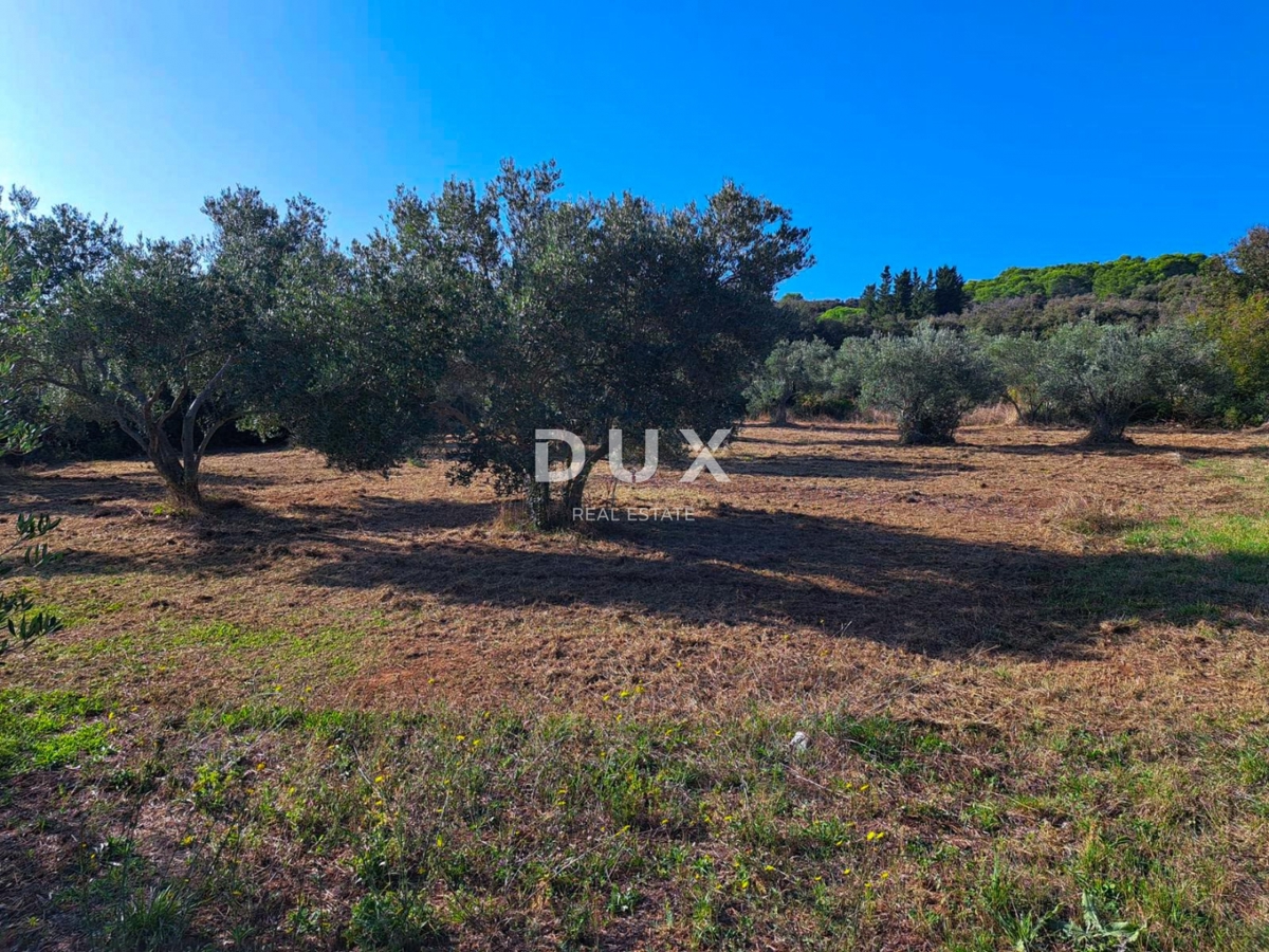 Land For sale - Zadarska Pašman - foto 1/4
