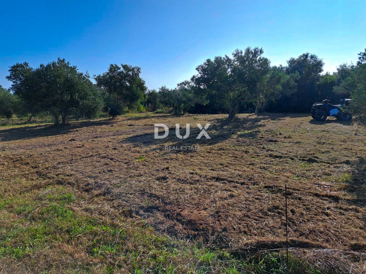 Land For sale - Zadarska Pašman - foto 2/4