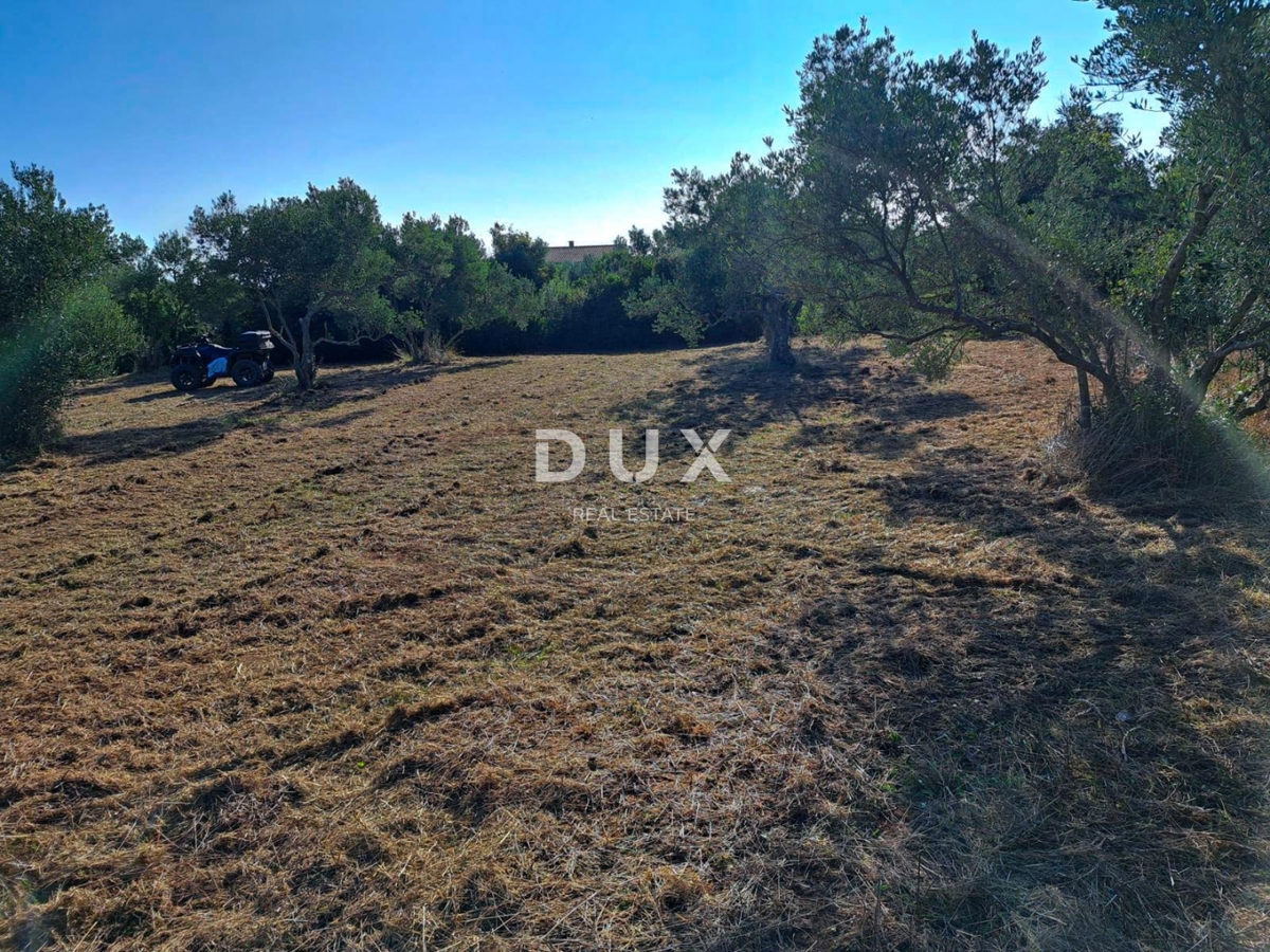 Land For sale - Zadarska Pašman - foto 3/4