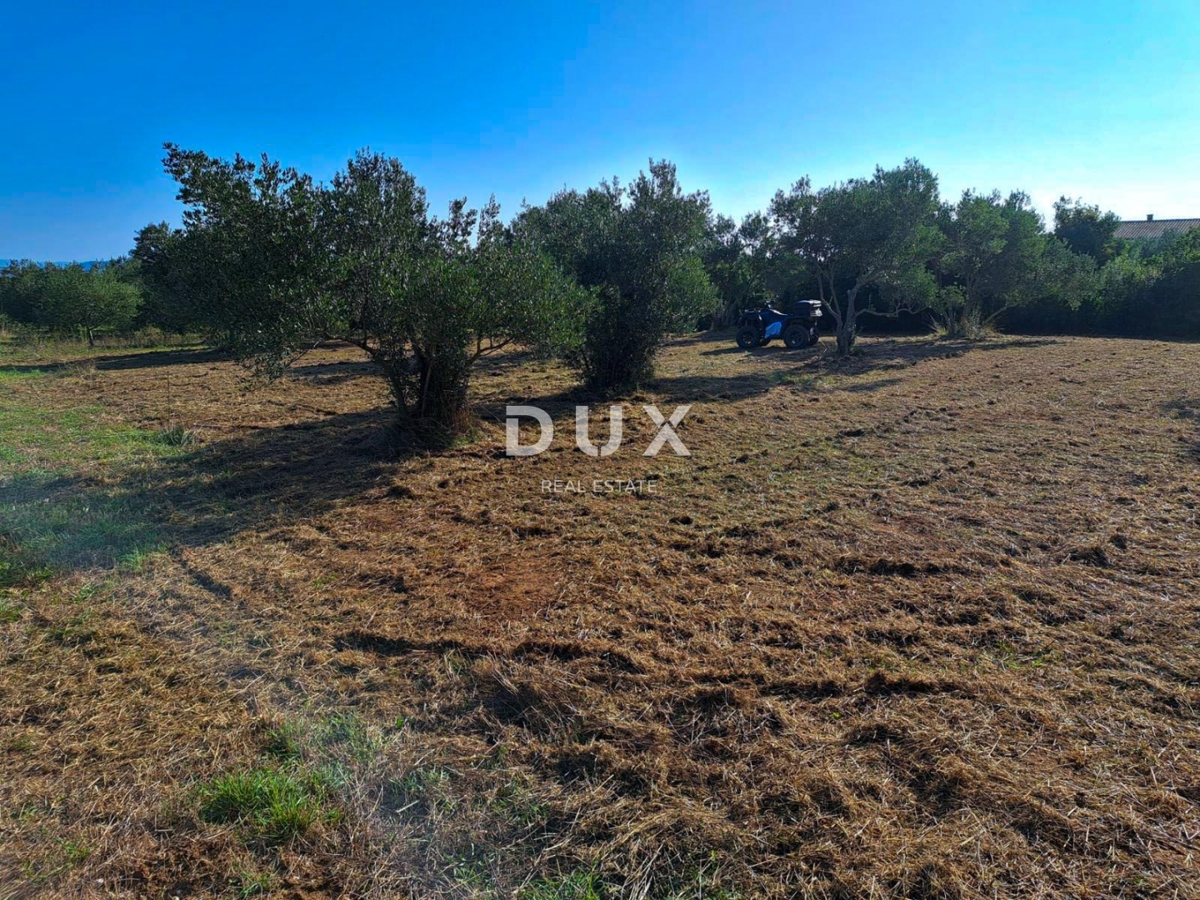 Land For sale - Zadarska Pašman - foto 4/4