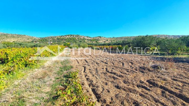 Terrain À vendre ŠODOLOVCI