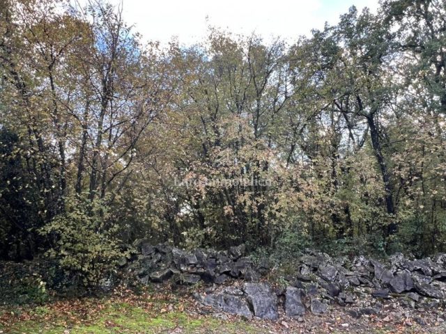 Terreno In vendita - Primorsko-goranska Kastav - foto 2/3