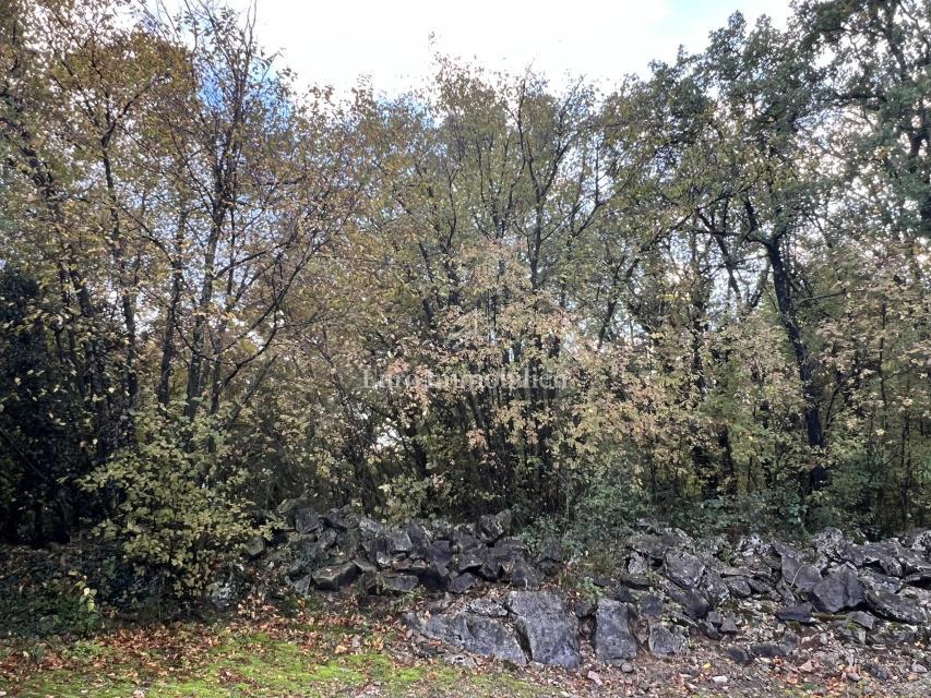 Pozemek Na prodej - Primorsko-goranska Kastav - foto 2/3