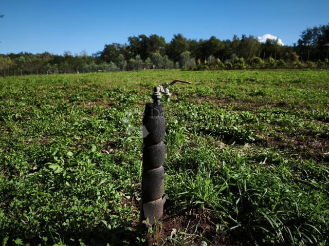 Terrain à vendre 7685 m² – Brtonigla