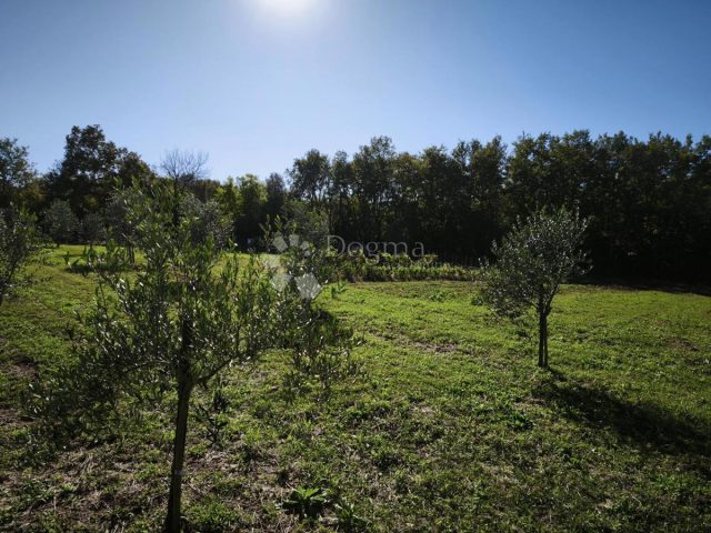 Land For sale - Istarska Brtonigla - foto 2/13