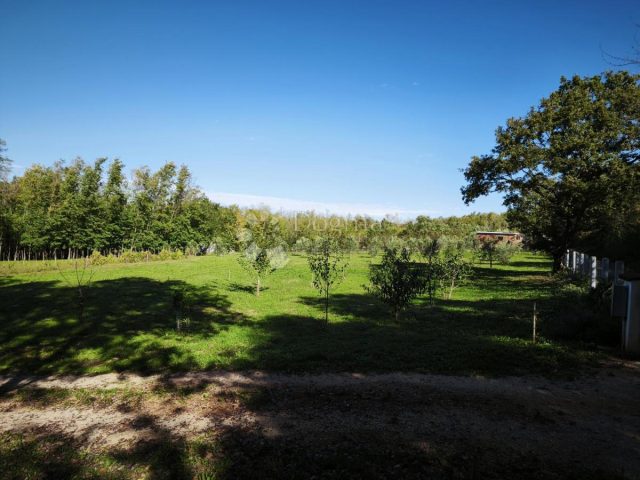 Land For sale - Istarska Brtonigla - foto 3/13