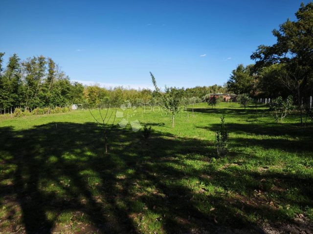 Land For sale - Istarska Brtonigla - foto 4/13