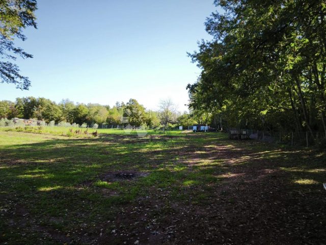 Land For sale - Istarska Brtonigla - foto 5/13