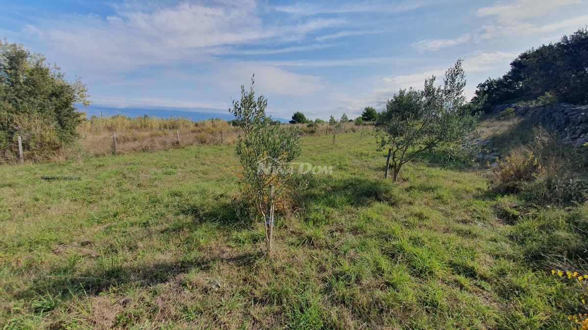 Land For sale - Zadarska Vir - foto 1/5