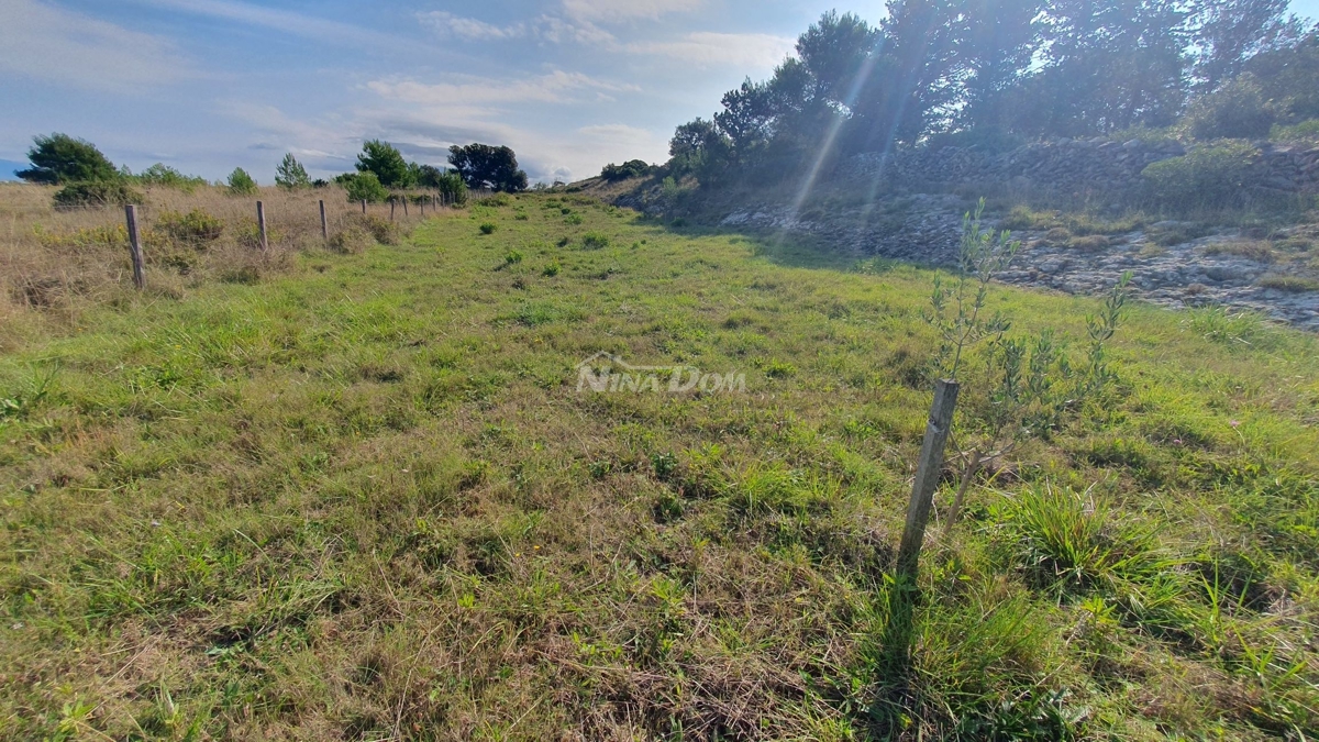 Land For sale - Zadarska Vir - foto 2/5