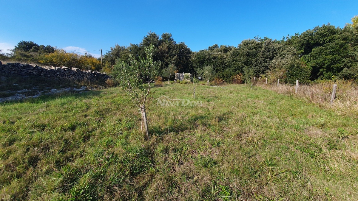 Land For sale - Zadarska Vir - foto 3/5