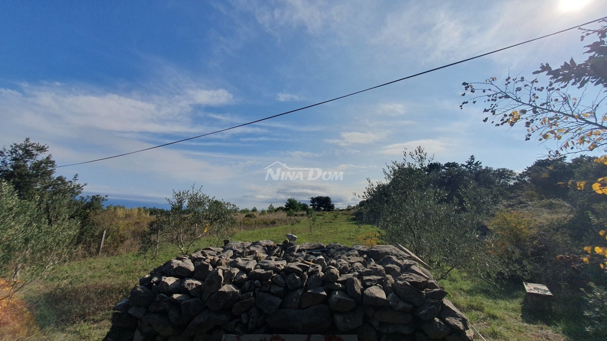 Land For sale - Zadarska Vir - foto 5/5
