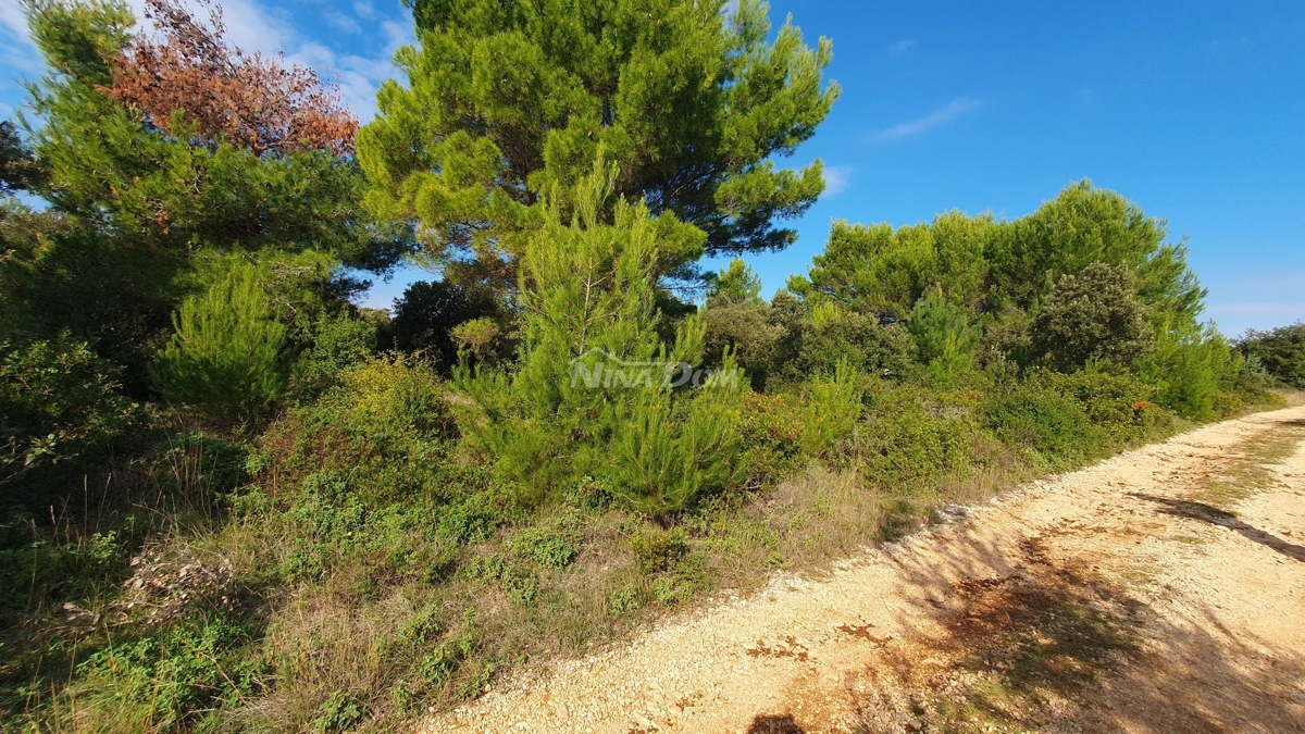 Land For sale - Zadarska Vir - foto 2/11