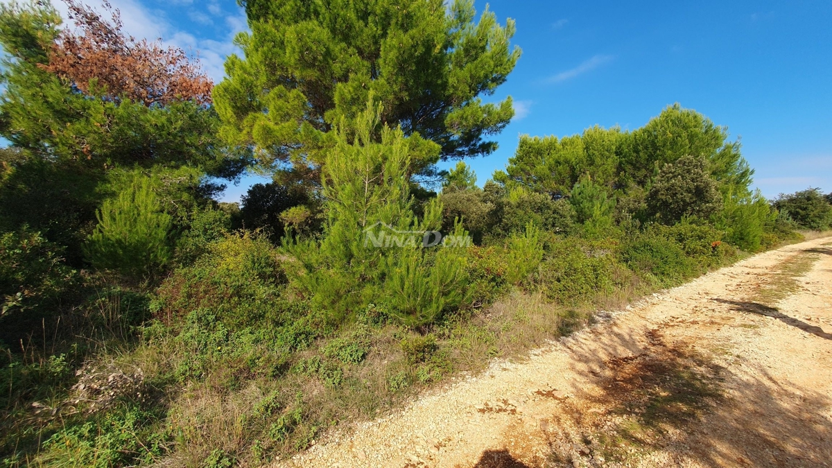 Land For sale - Zadarska Vir - foto 3/11