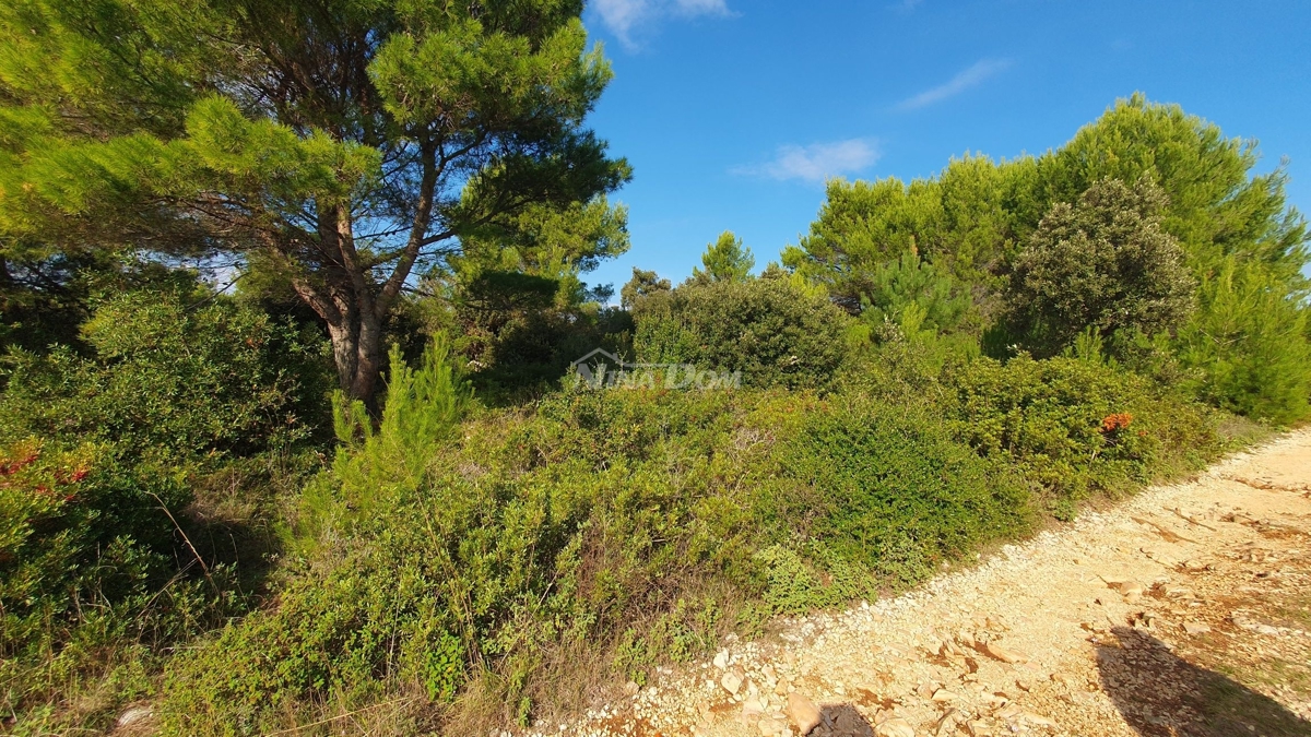 Land For sale - Zadarska Vir - foto 4/11