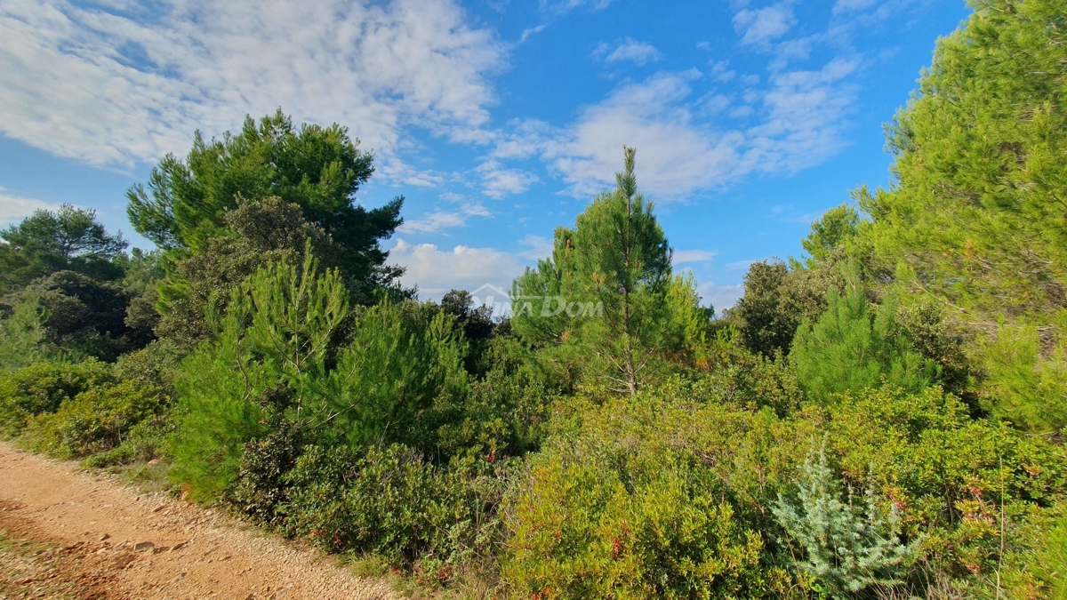 Land For sale - ZADARSKA VIR