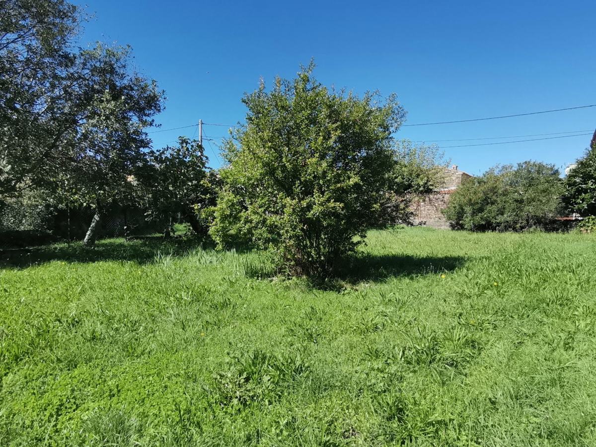 House For sale - ISTARSKA BUJE