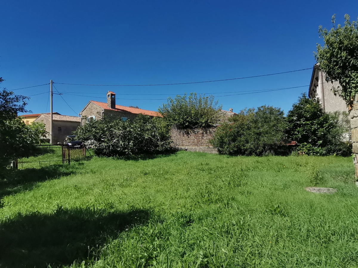 House For sale - ISTARSKA BUJE