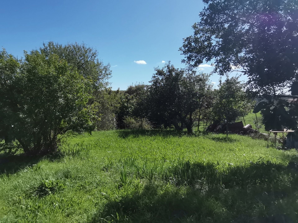 House For sale - ISTARSKA BUJE