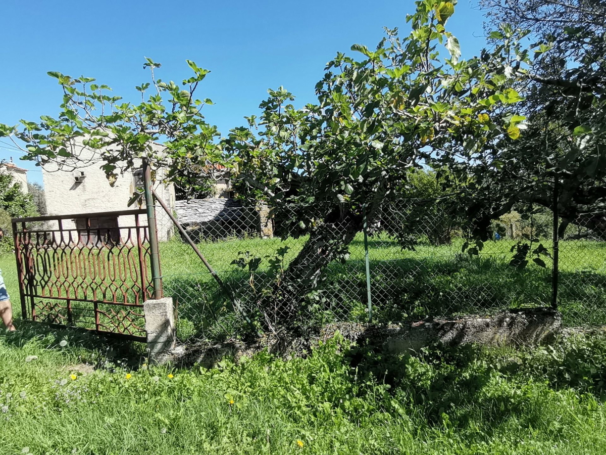 House For sale - ISTARSKA BUJE