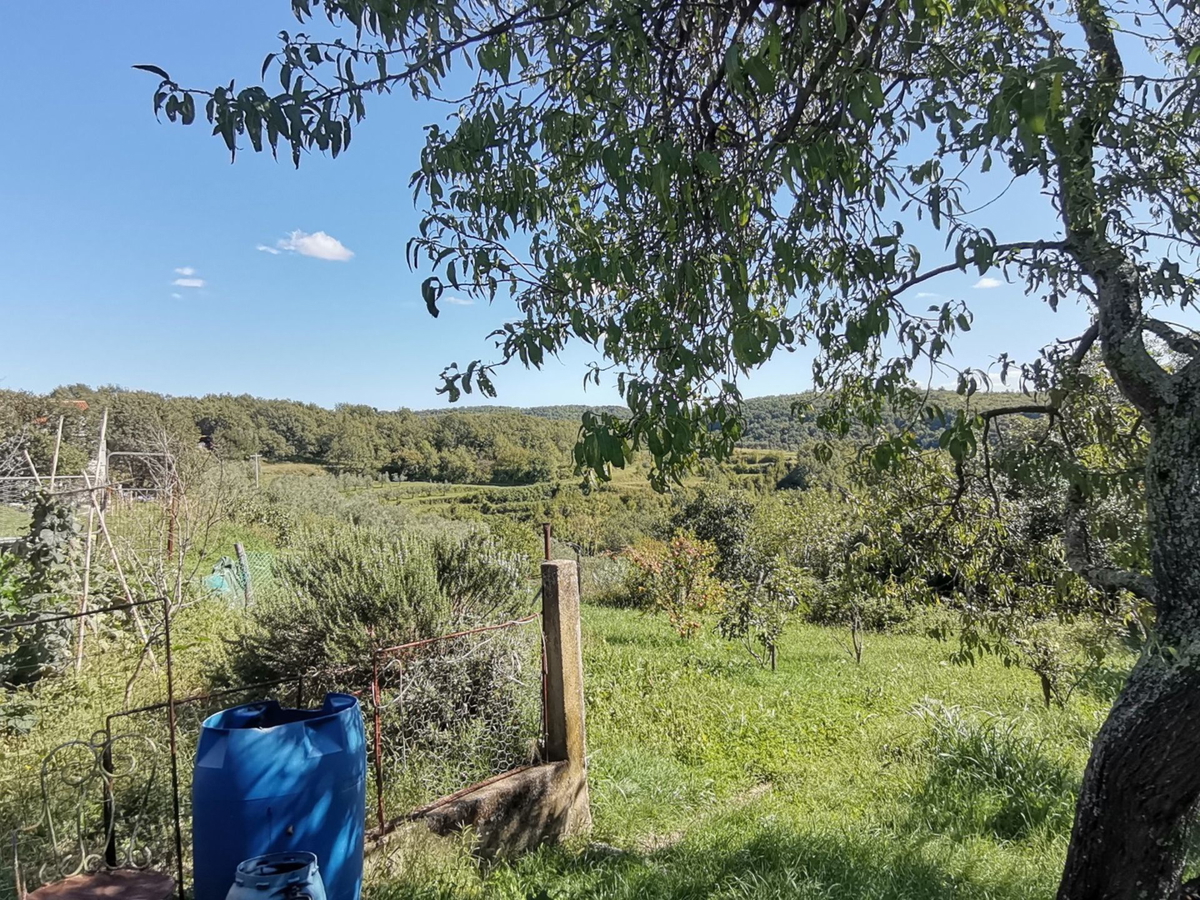 House For sale - ISTARSKA BUJE