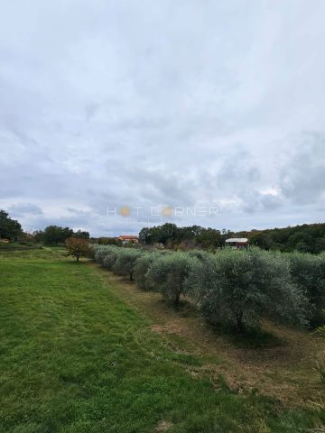 Land For sale - Istarska Rovinj - foto 2/3