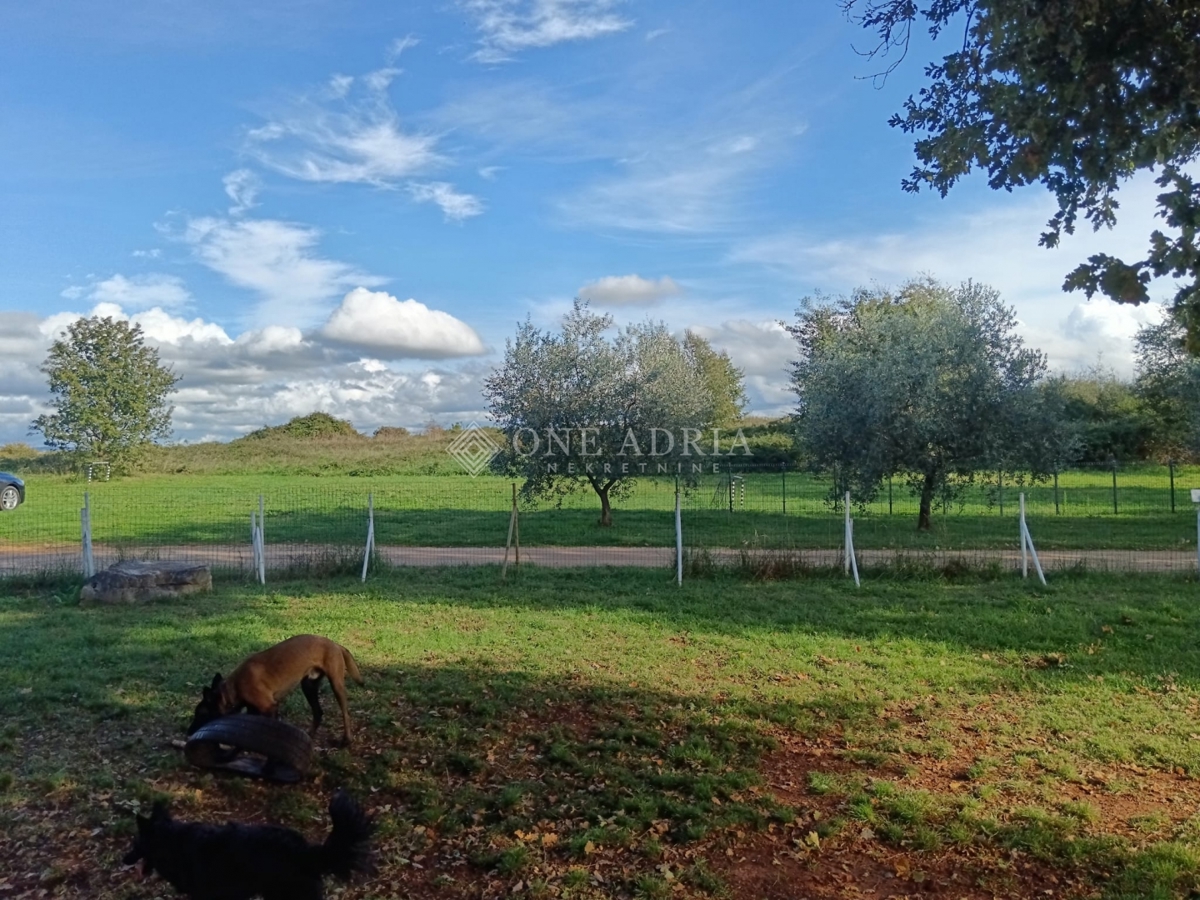 House For sale - ISTARSKA NOVIGRAD