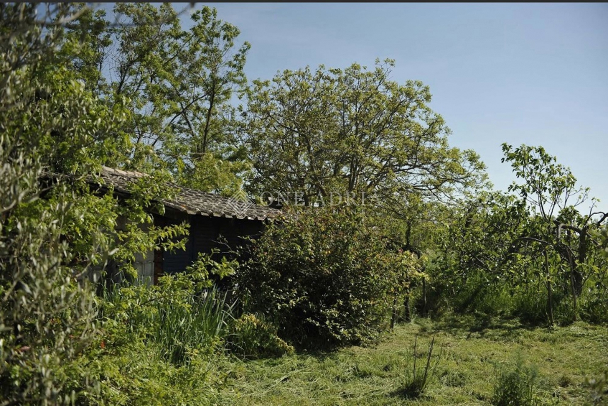 Parcela Na predaj - Istarska Marčana - foto 1/5