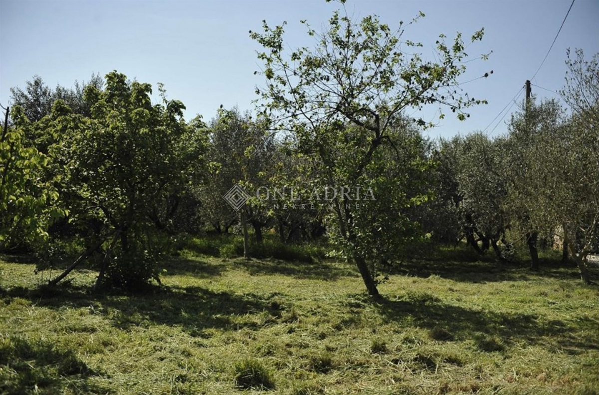 Parcela Na predaj - Istarska Marčana - foto 2/5