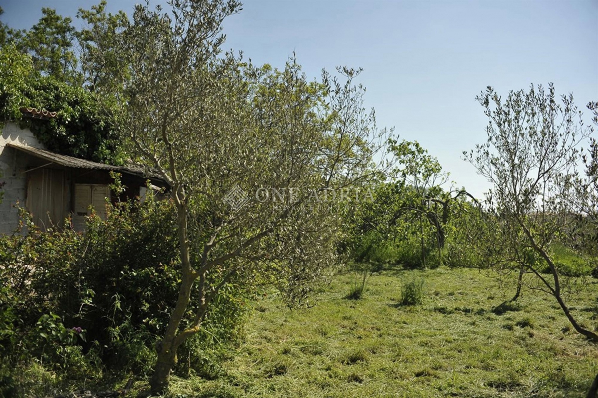 Parcela Na predaj - Istarska Marčana - foto 3/5