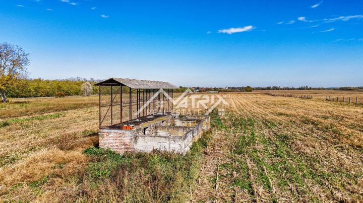 Terrain À vendre - Osječko-baranjska Bilje - foto 3/12
