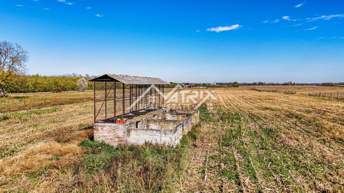 Pozemek Na prodej - OSJEČKO-BARANJSKA BILJE