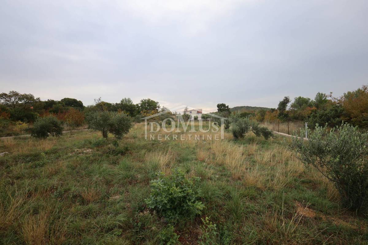 House For sale - ZADARSKA POLAČA